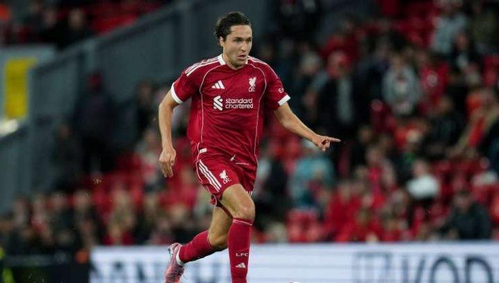 我都全力以, bdg