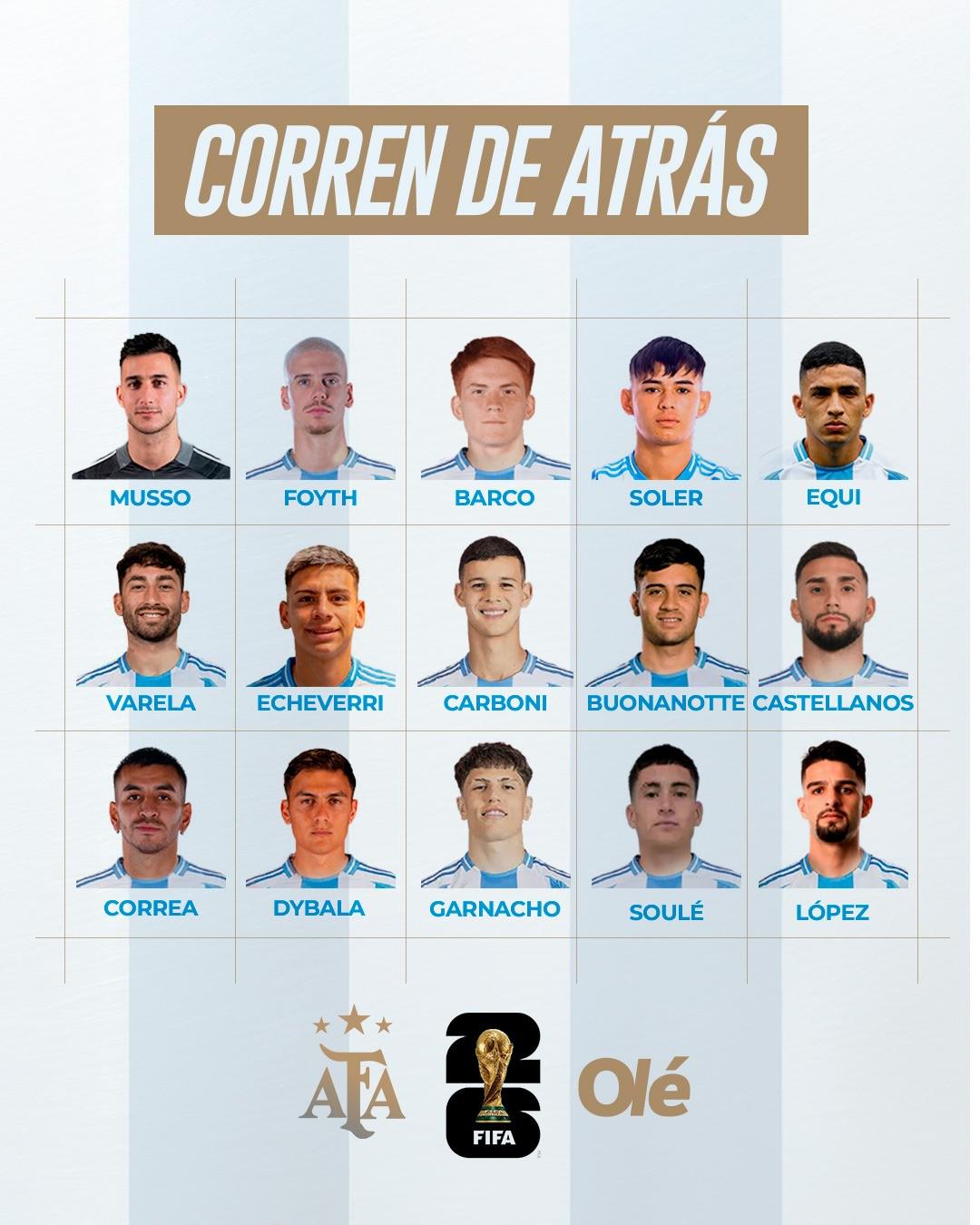 对潘帕斯雄, 容进行了分